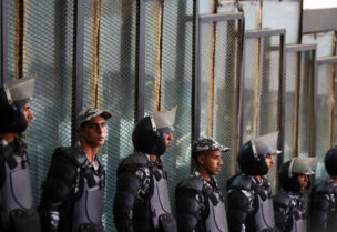 الشرطة المصرية
