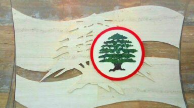 حزب القوات اللبنانية