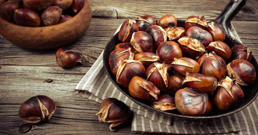 chestnut | Beirut International chestnut
