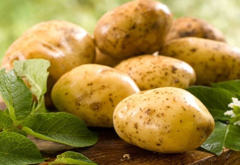 بطاطس