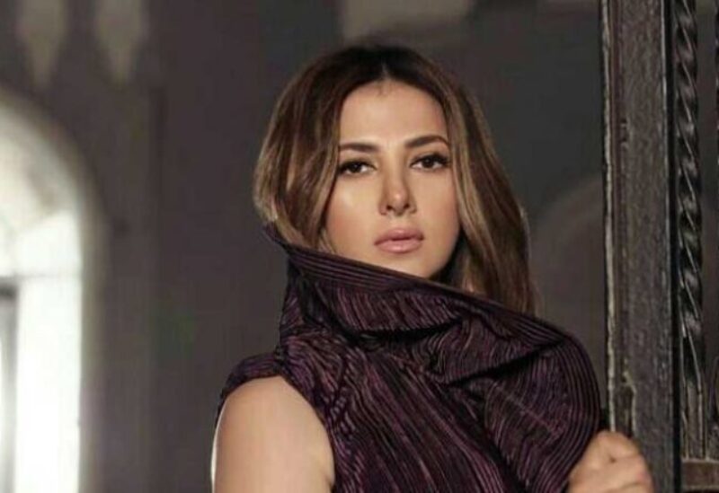 دنيا سمير غانم
