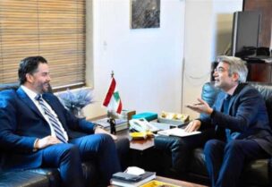 وزير الطاقة والمياه الدكتور وليد فياض وزير الاقتصاد والتجارة أمين سلام