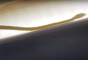 ثعبان يجبر طائرة ماليزية على الهبوط