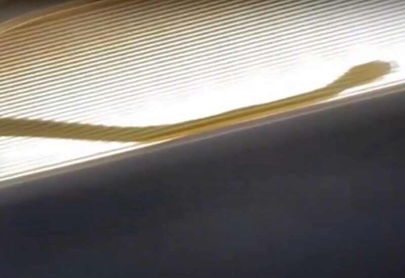 ثعبان يجبر طائرة ماليزية على الهبوط