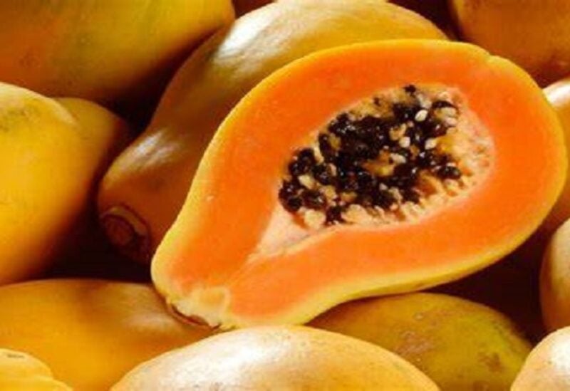 فاكهة البابايا