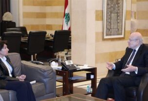 الرئيس ميقاتي وسفيرة فرنسا في لبنان آن غريو