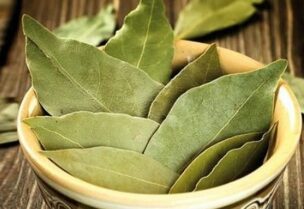 ورق الغار