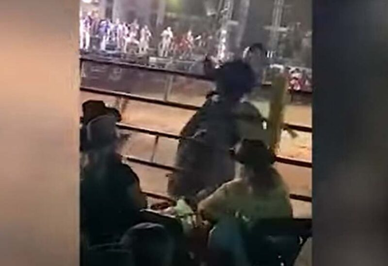 لحظة هجوم الثور على المتفرجين
