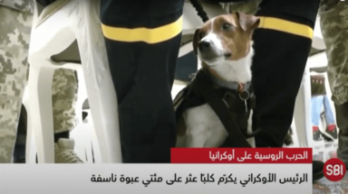 تكريم اشهر كلب في اوكرانيا
