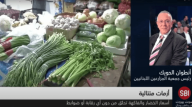 أسعار الخضار
