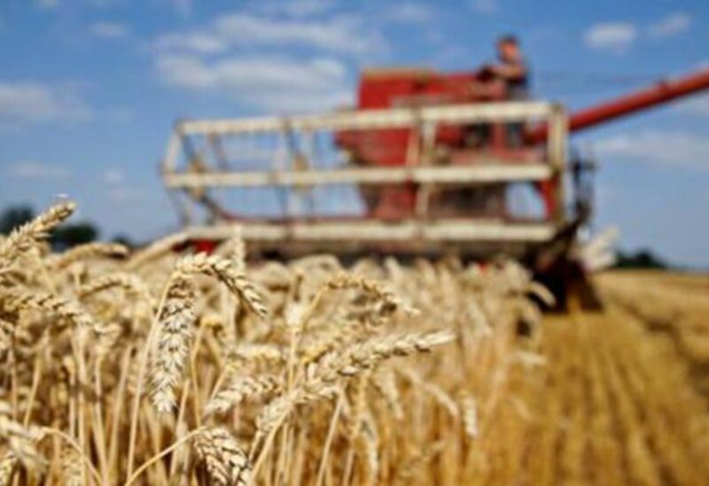 أزمة قمح عالمية بسبب الحرب الروسية على اوكرانيا