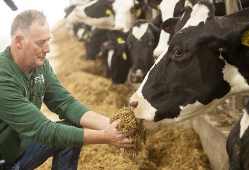 شركة لابي تمكنت من تطوير ماسح ضوئي للحليب يتيح للمزارعين استخدامه في قياس صحة أبقارهم