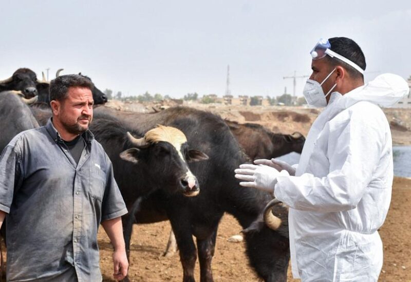 الحمى النزفية في العراق