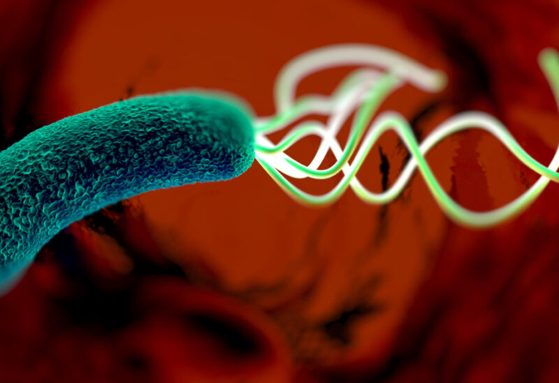 طب وصحة – وكالة الصحة البريطانية تحذر من الفيروس الغدي وتشدد على الوقاية منه للأطفال وكبار السن