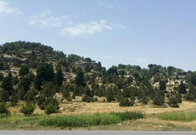 فنيدق