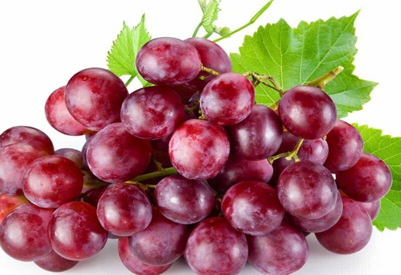 العنب الاحمر