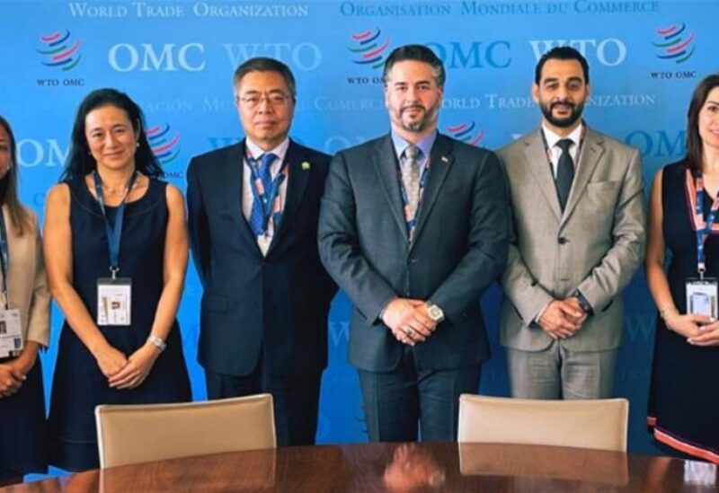 وزير الاقتصاد أمين سلام في جنيف خلال المؤتمر الوزاري الثاني عشر لمنظمة التجارة العالمية MC12