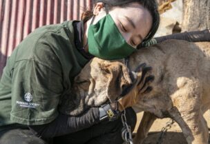 ناشطة كورية تحضن كلبًا