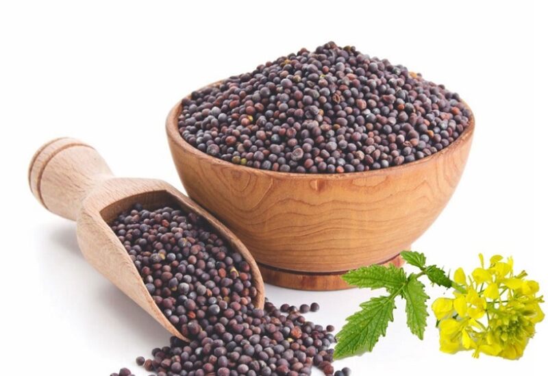 بذور الخردل