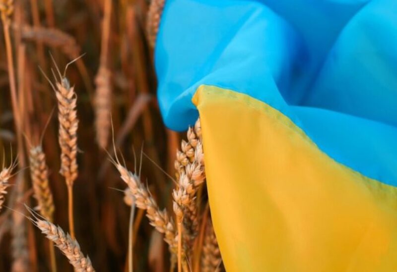 الحبوب الأوكرانية - تعبيرية