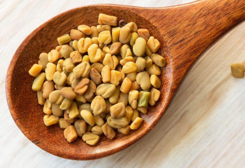 عشبة الحلبة- تعبيرية