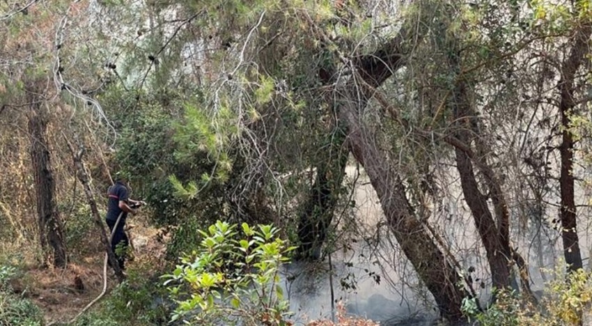 صور من حريق رومية 