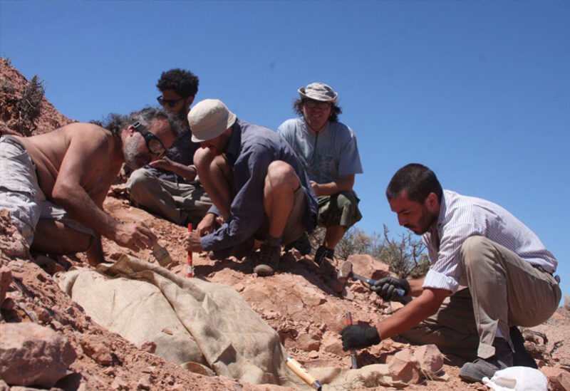 التنقيب عن العظام من الديناصورات المدرعة ذات قدمين غي الأرجنتين