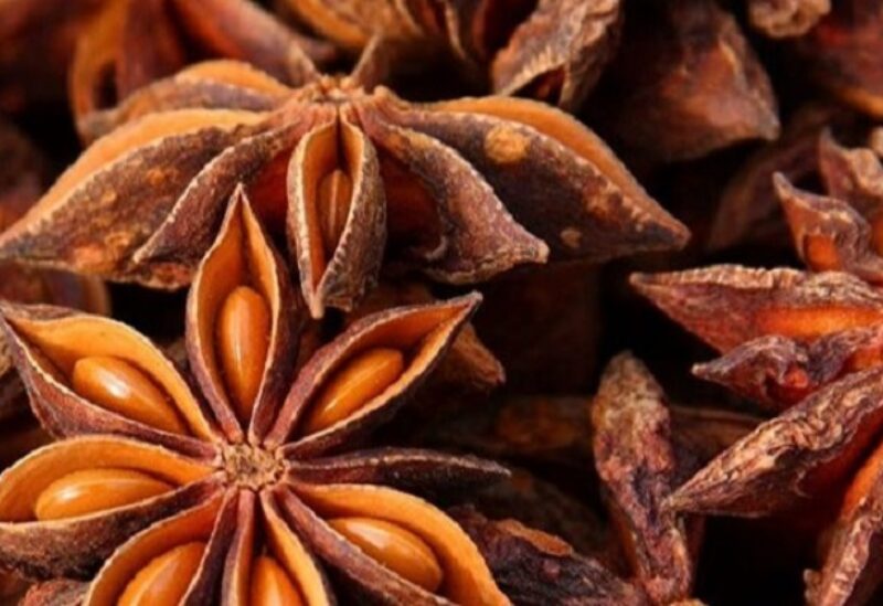 اليانسون النجمي