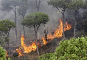 حرائق في لبنان