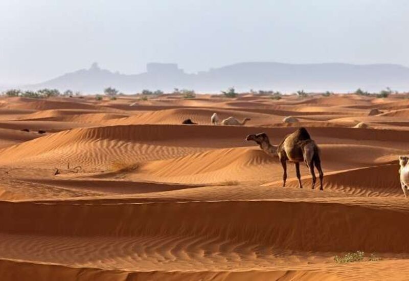صحراء السعودية