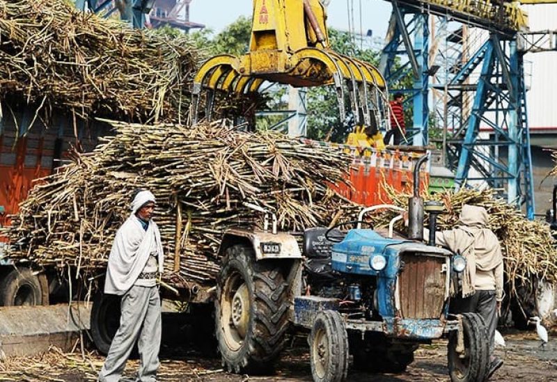 الهند تمدد حظر تصدير السكر