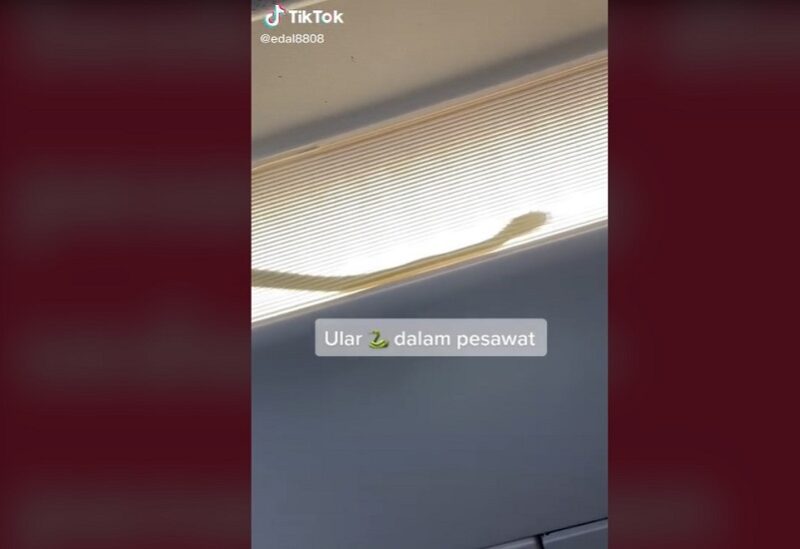صورة من الفيديو