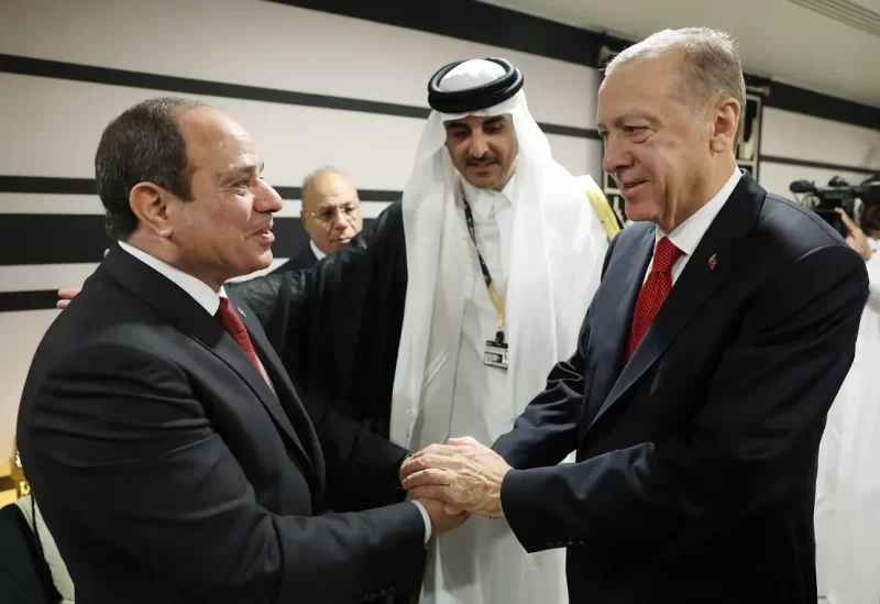 الرئيس التركي رجب طيب أردوغان والمصري عبد الفتاح السيسي