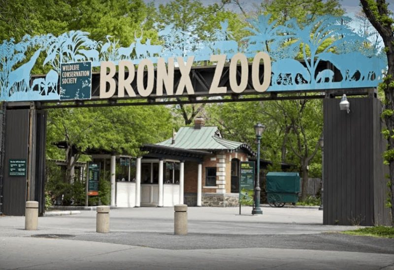 حديقة حيوان في (برونكس - نيويورك)