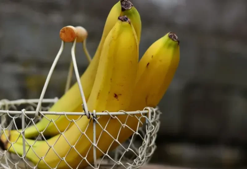 الموز يساعد على تقوية جهاز المناعة