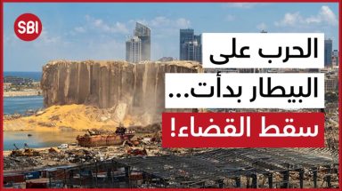 الحرب على البيطار بدأت... سقط القضاء!