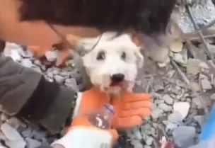 صورة من الفيديو