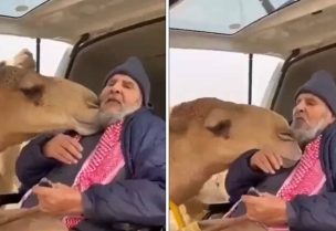 صورة من الفيديو