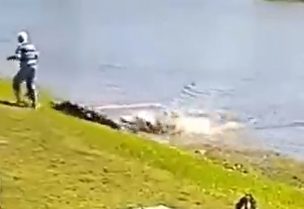 لحظة انقضاض التمساح على السيدة الأمريكية