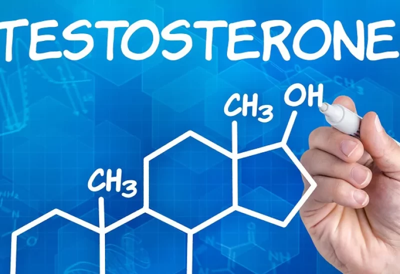 التستوستيرون يعد هرمون الذكورة الرئيسي
