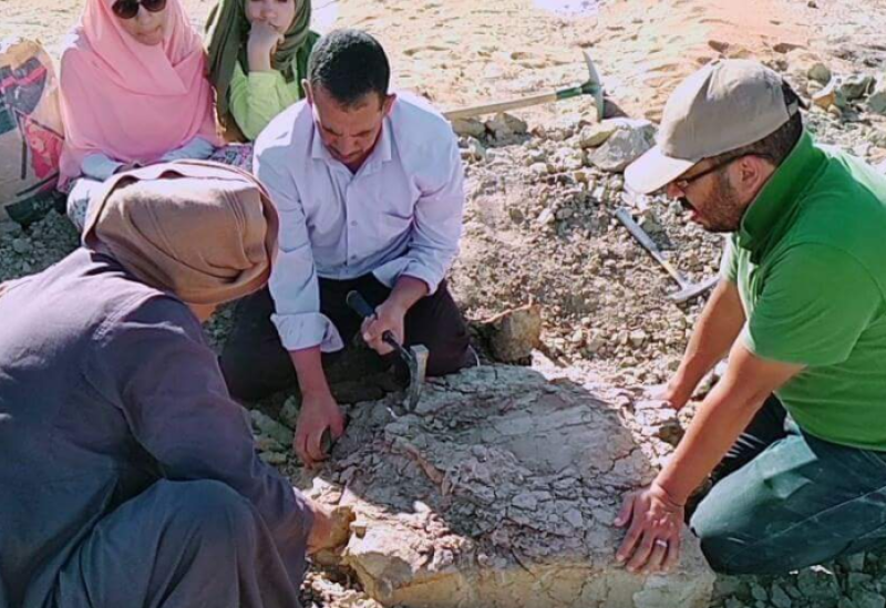 اكتشاف سلحفاة نهرية جانبية العنق