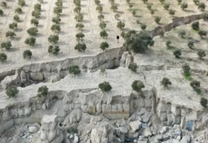 ظهور واد في حقل زيتون في هاتاي إثر الزلزال (صورة من فيديو لوكالة الأناضول على تويتر)