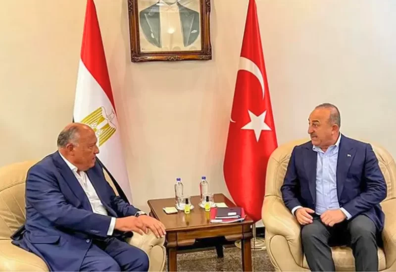 وزير الخارجية التركي ونظيره المصري
