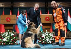 الكلب الذي ظهر مع أردوغان ونظيرته المجرية