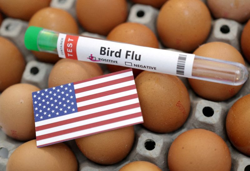أمريكا تبدأ اختبار لقاحات لأنفلونزا الطيور