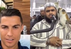 لقطة من مقطع الفيديو المركب