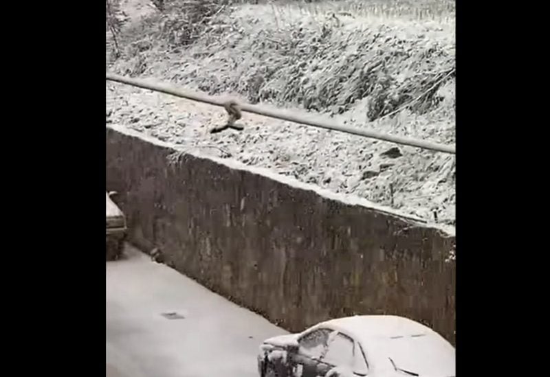 الثلوج في قضاء بشري