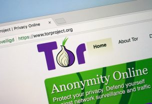 شعار (تور بروجكت) Tor Project