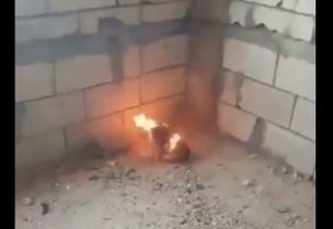 صورة من مقطع الفيديو