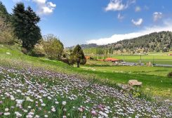 طقس لبنان
